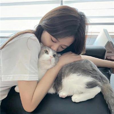 风临樱花开